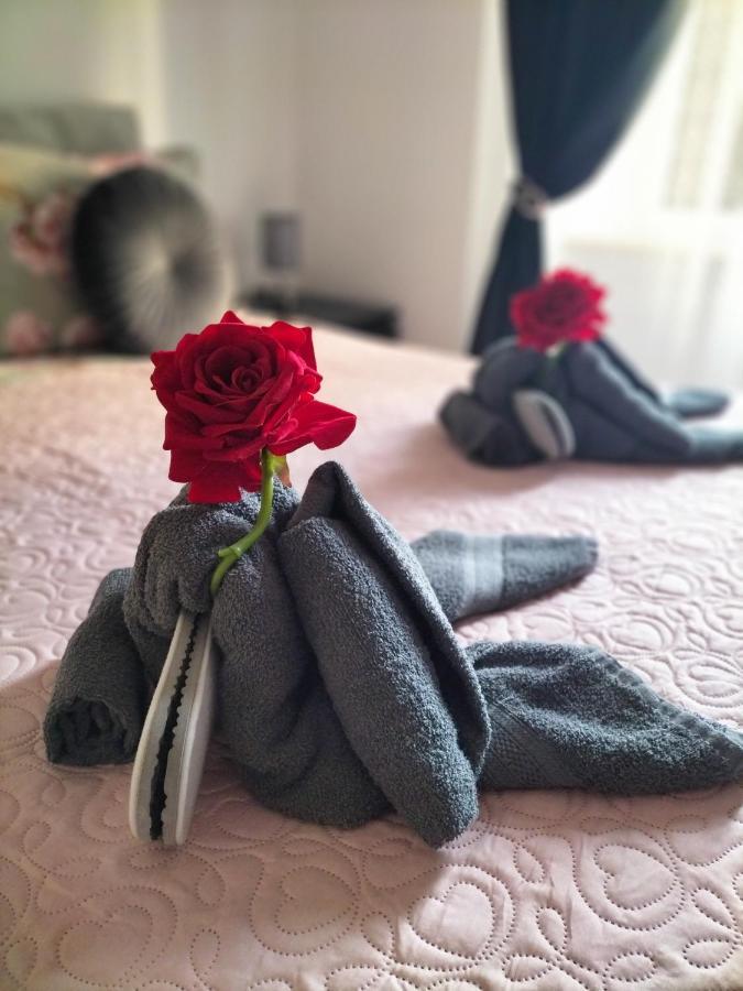 Appartement Red Roses Domus