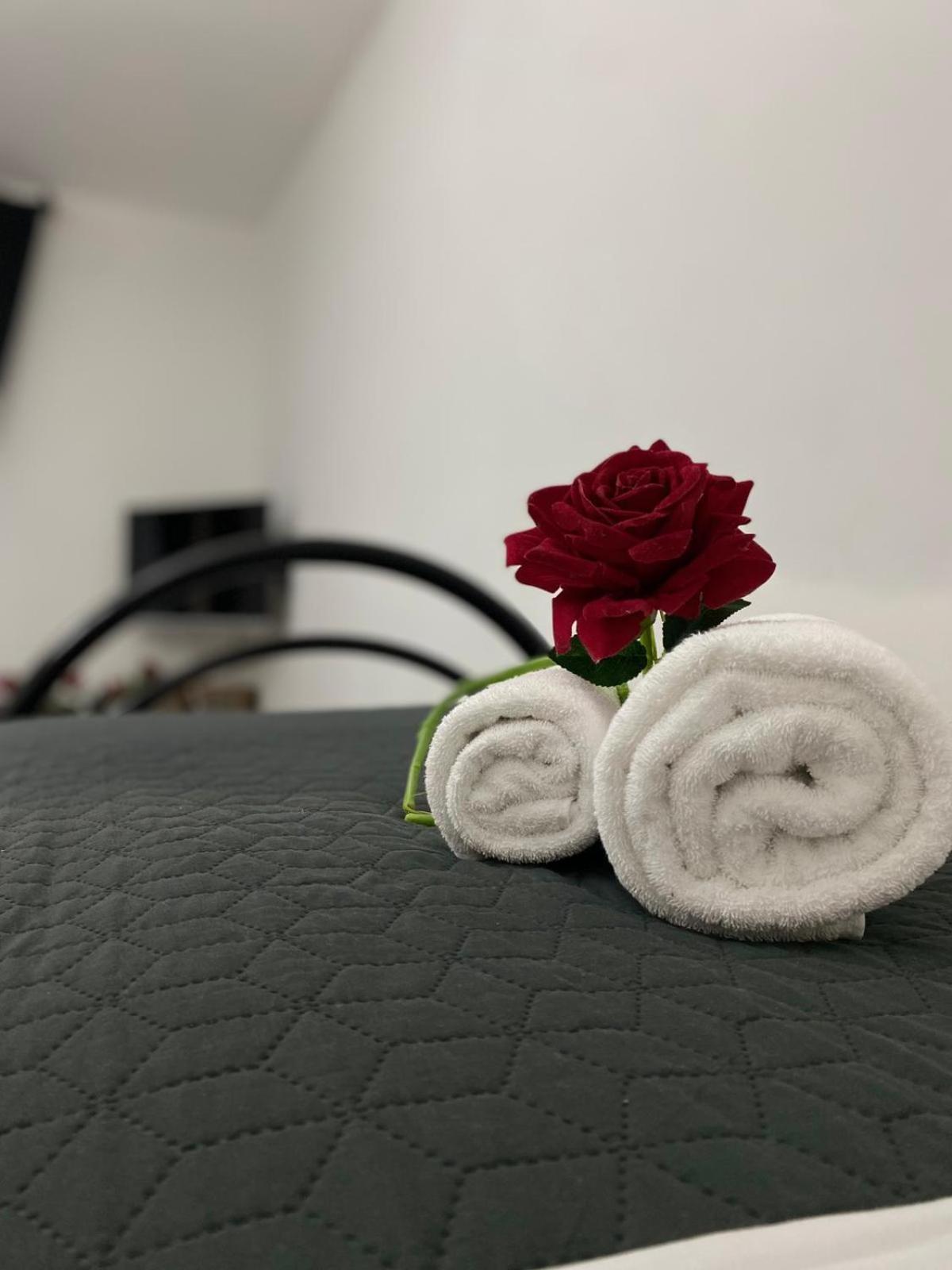 Red Roses Domus Appartement