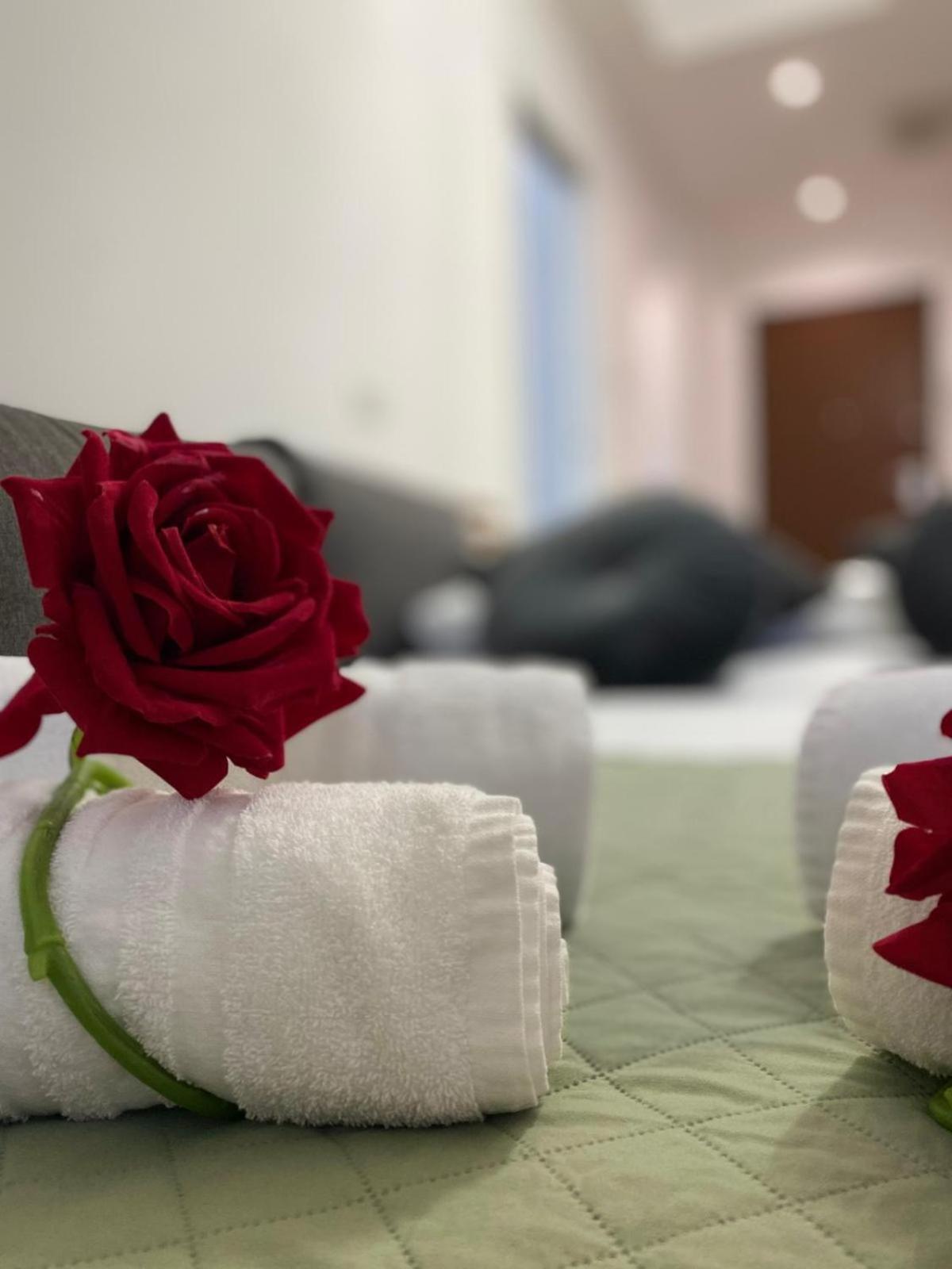 Red Roses Domus Appartement *