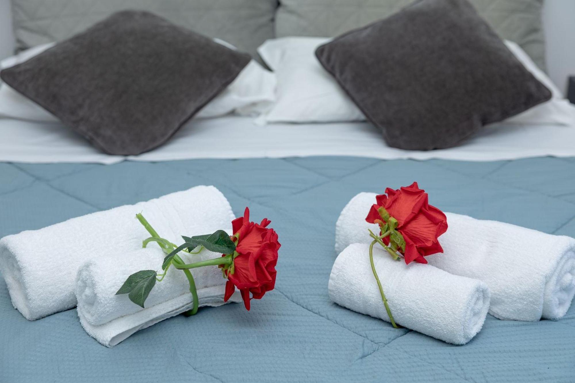 Red Roses Domus Rome