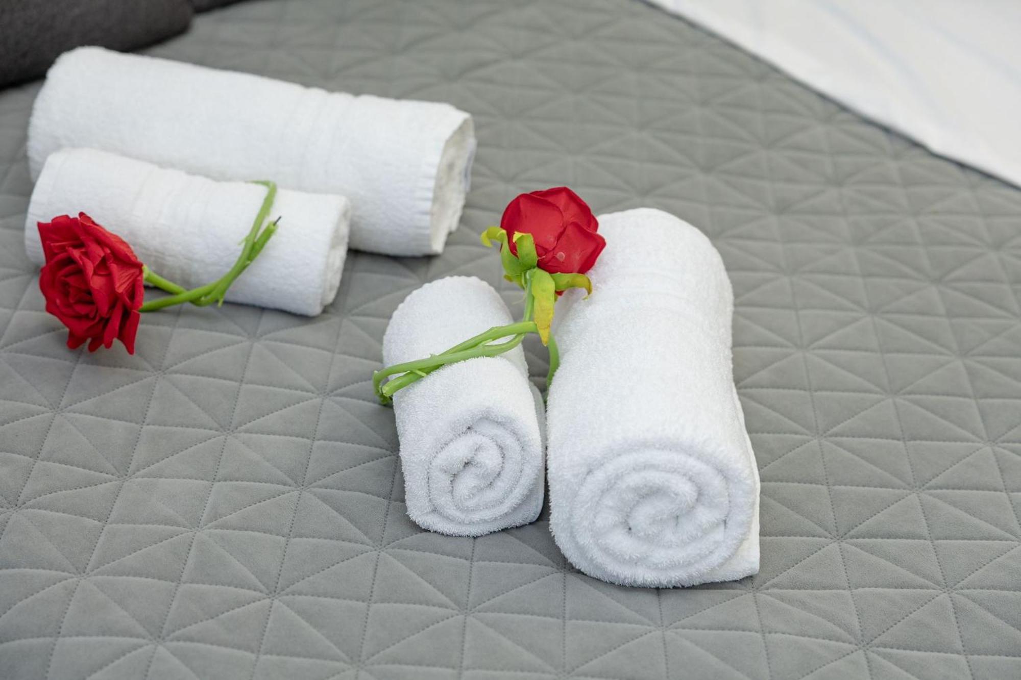 Apartment Red Roses Domus Rome